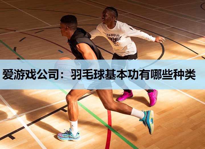 爱游戏公司：羽毛球基本功有哪些种类