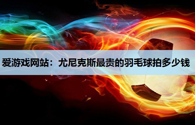 爱游戏网站：尤尼克斯最贵的羽毛球拍多少钱
