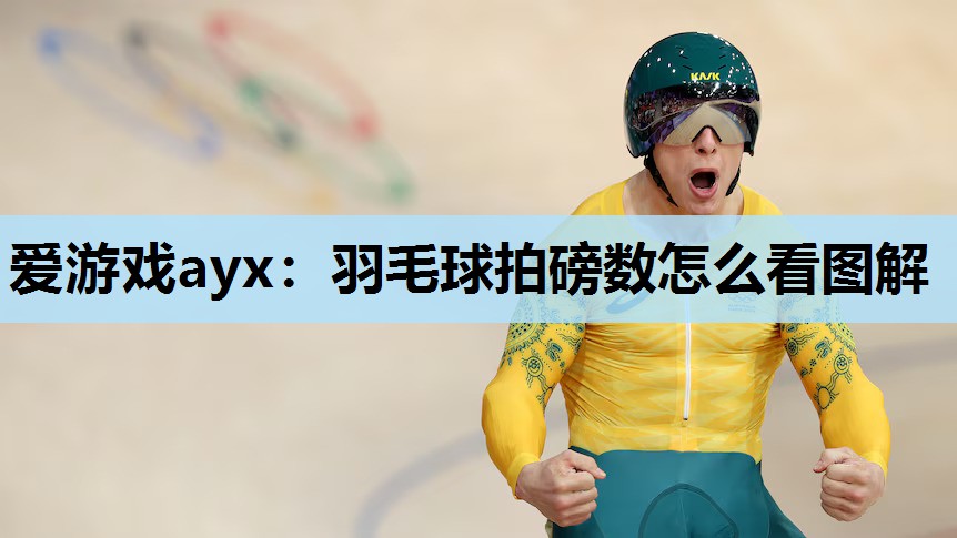 爱游戏ayx：羽毛球拍磅数怎么看图解