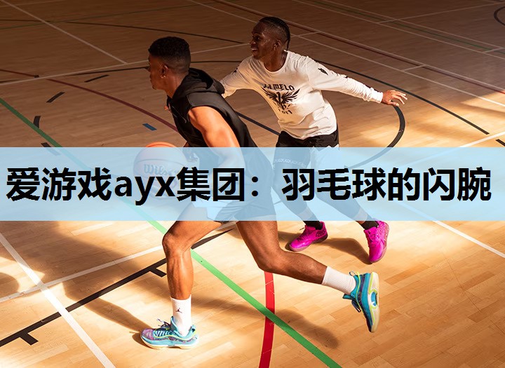 爱游戏ayx集团：羽毛球的闪腕