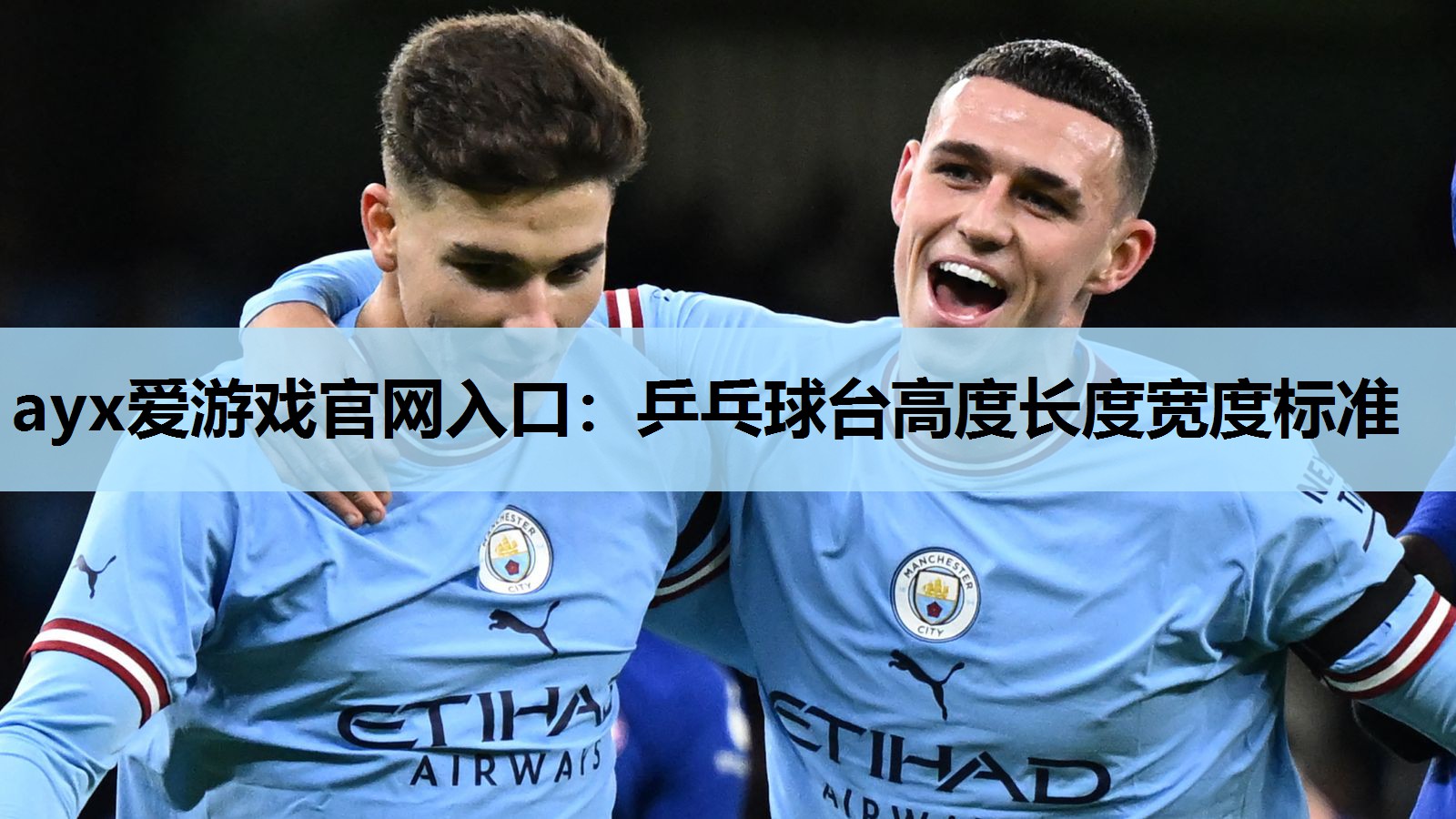 乒乓球台高度长度宽度标准 乒乓球台高度长度宽度标准