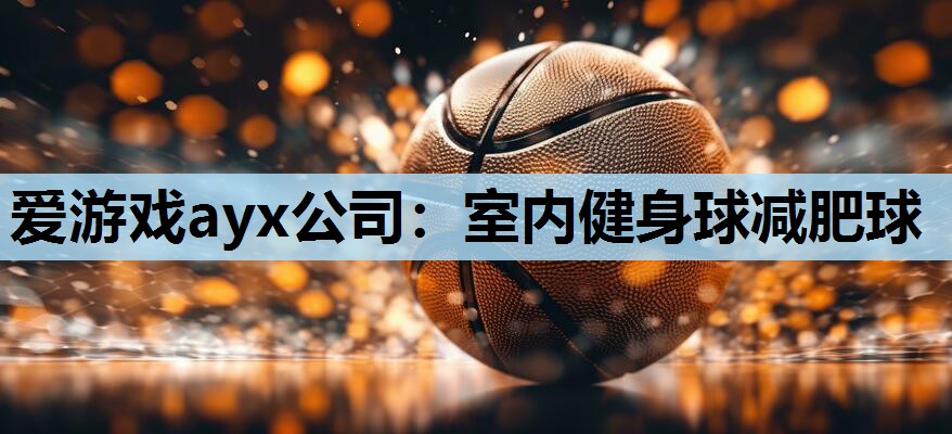 室内健身球减肥球 室内健身球减肥球