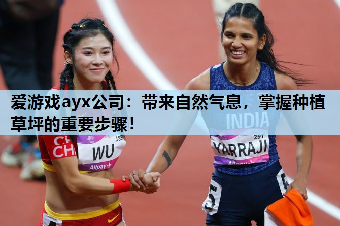 带来自然气息,掌握种植草坪的重要步骤! 带来自然气息,掌握种植草坪的重要步骤!