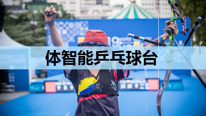 体智能乒乓球台 体智能乒乓球台