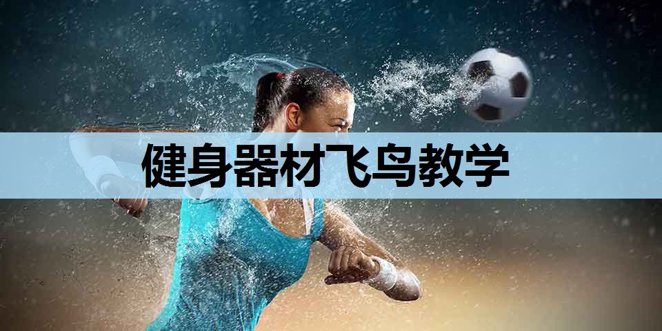 健身器材飞鸟教学 健身器材飞鸟教学