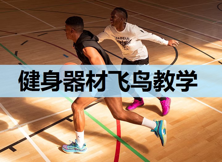 健身器材飞鸟教学 健身器材飞鸟教学