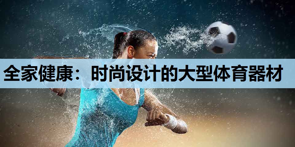 全家健康:时尚设计的大型体育器材 全家健康:时尚设计的大型体育器材