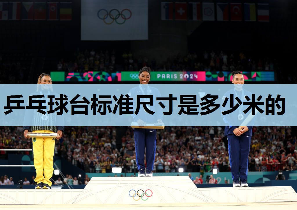 乒乓球台标准尺寸是多少米的 乒乓球台标准尺寸是多少米的