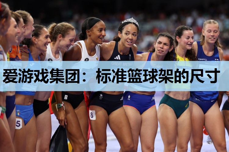 标准篮球架的尺寸 标准篮球架的尺寸