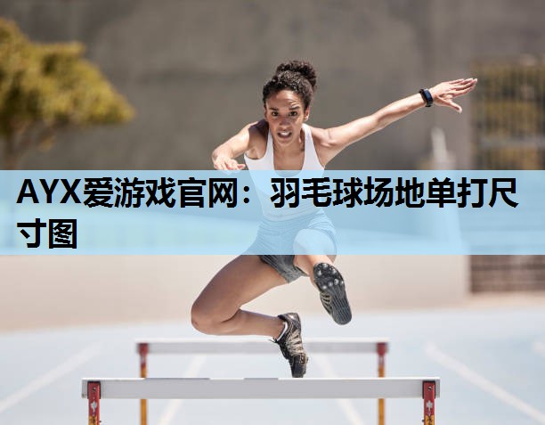 羽毛球场地单打尺寸图 羽毛球场地单打尺寸图