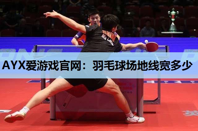 羽毛球场地线宽多少 羽毛球场地线宽多少